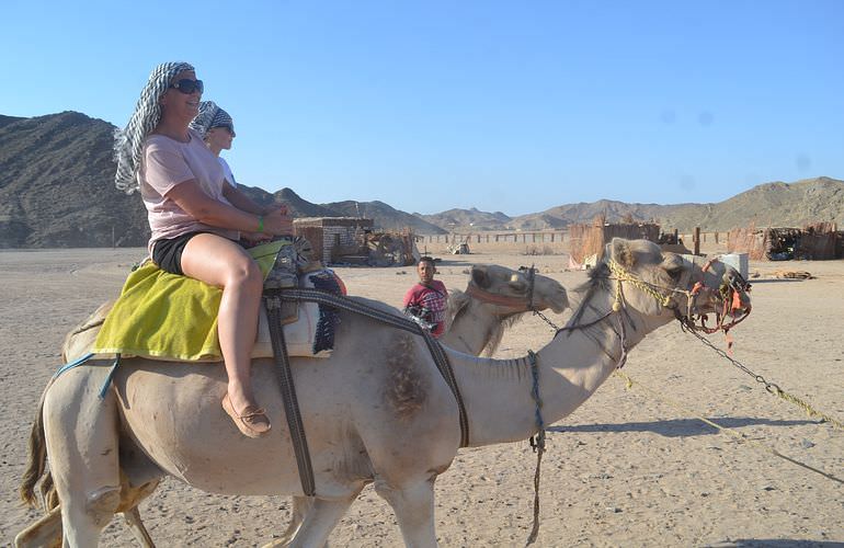 Private Buggy Tour in Sahl Hasheesh am Morgen mit Kamelreiten  