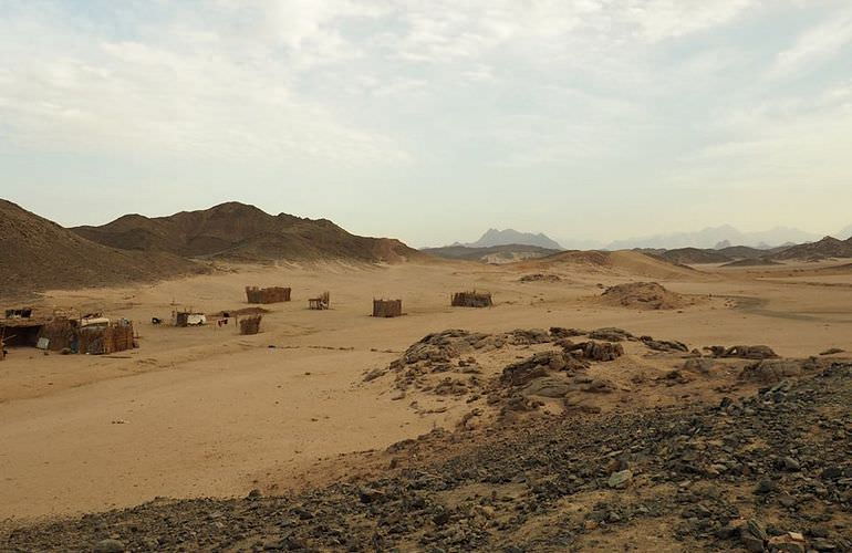 Private Buggy Tour in Makadi Bay am Morgen mit Kamelreiten