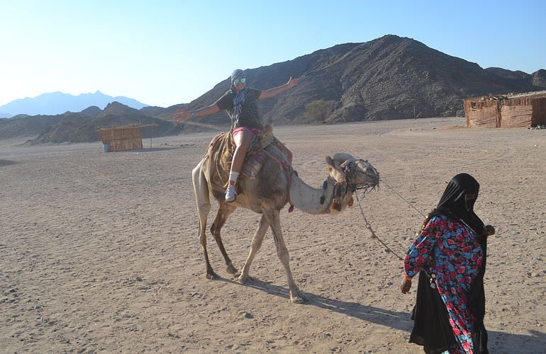 Private Buggy Tour in Makadi Bay am Morgen mit Kamelreiten