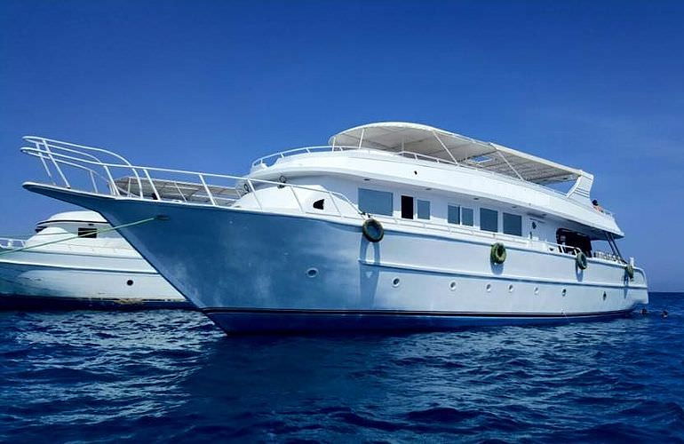 Private Delfin Tour in Makadi Bay - Privater Bootsausflug zum Schnorcheln