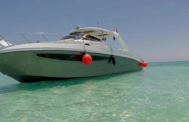 Privater Ausflug zu den Delfinen mit Speedboot ab Makadi Bay