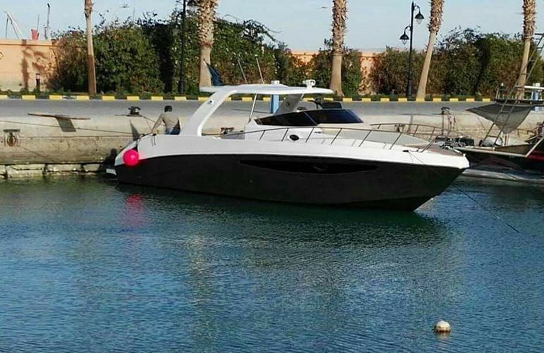 Privater Ausflug zu den Delfinen mit Speedboot ab Makadi Bay