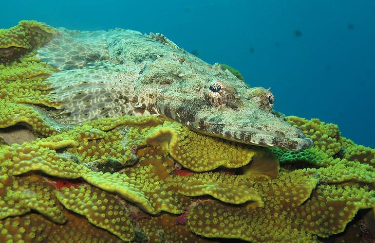 Exklusive Makadi Bay Bootstour: Privater Ausflug auf eine einsame Insel mit Schnorcheln