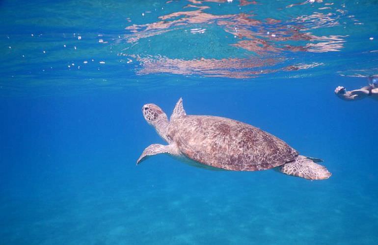 Exklusive Makadi Bay Bootstour: Privater Ausflug auf eine einsame Insel mit Schnorcheln