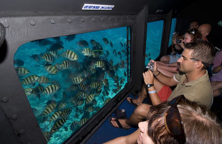 Glasbodenboot Tour ab Makadi Bay - Semi U-Boot Ausflug