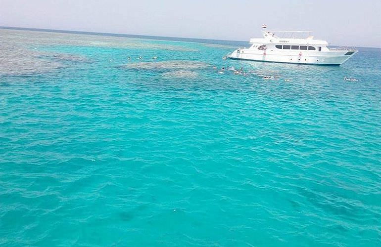 Insel Ausflug mit Schnorcheln ab Makadi Bay - Karibik Feeling pur