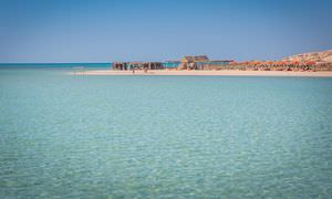 Insel Ausflug mit Schnorcheln ab Makadi Bay - Karibik Feeling pur