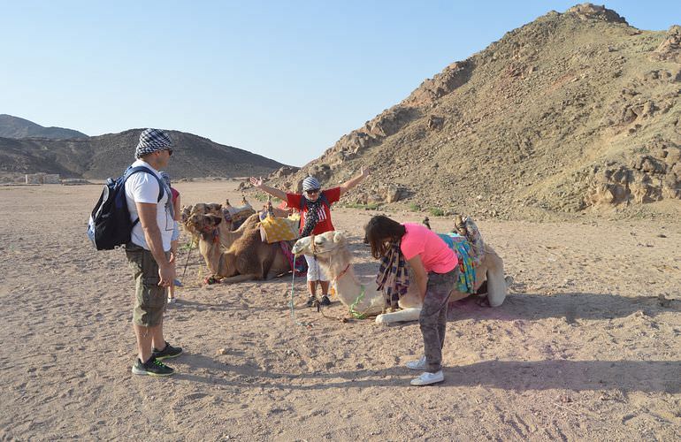 Jeep Safari in Makadi Bay mit Kamelreiten & BBQ Abendessen