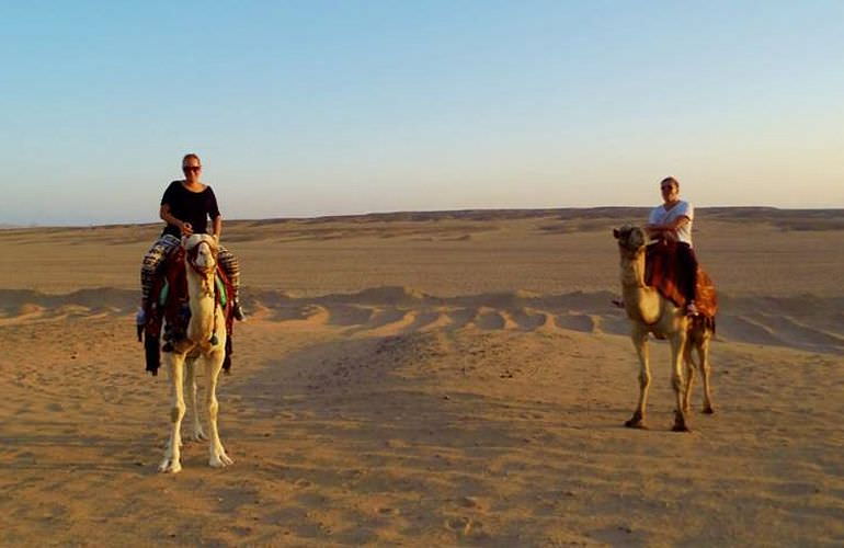 Kamelreiten in Makadi Bay: Am Strand oder in der Wüste