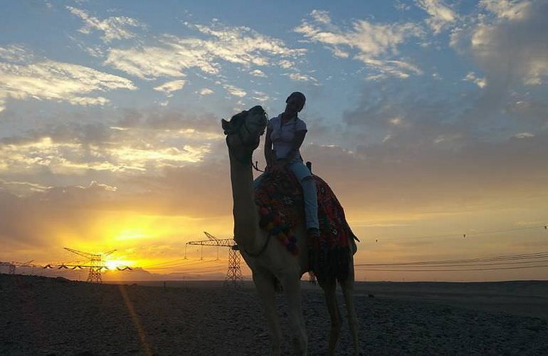 Kamelreiten in Makadi Bay: Am Strand oder in der Wüste