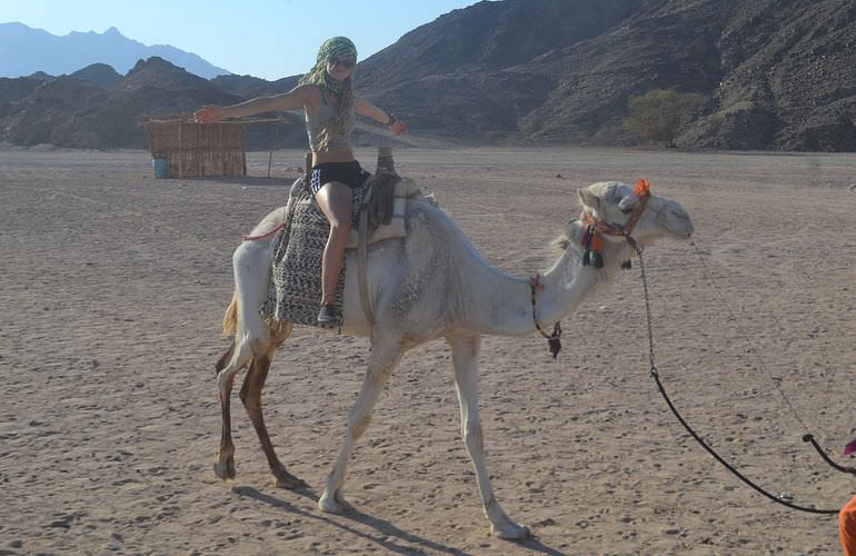 Kombi-Wüstentour in Makadi Bay: Quad, Jeep, Buggy und Kamelreiten