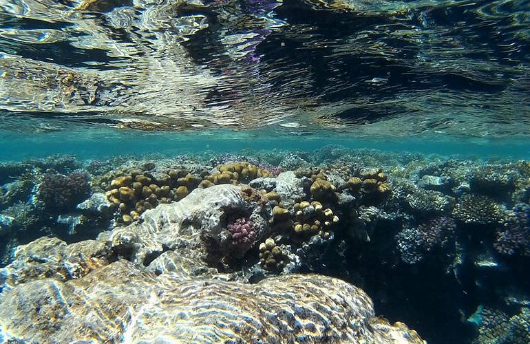 Schnorchelausflug zur Orange Bay von Makadi Bay aus