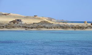 Ganztagesausflug von Sahl Hasheesh zur Paradise Insel mit dem Boot