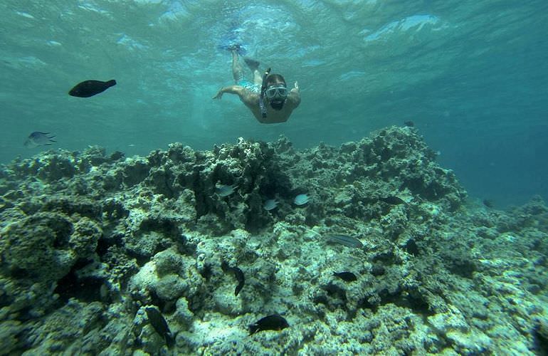 Ausflug von Makadi Bay zur Paradies Insel mit dem Boot