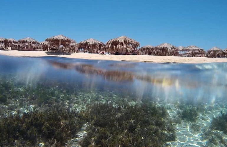 Ausflug von Makadi Bay zur Paradies Insel mit dem Boot