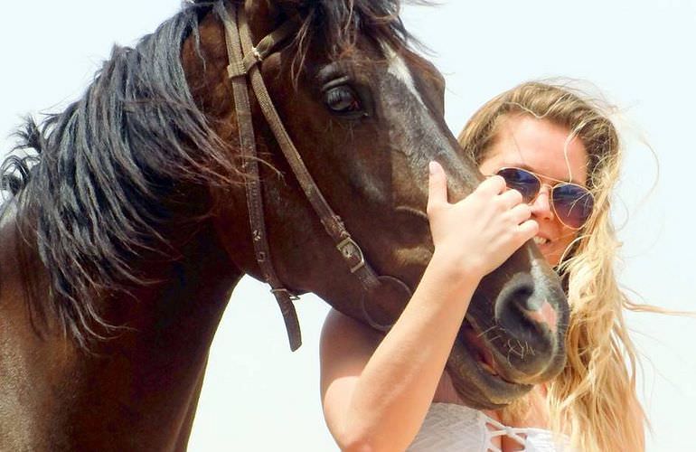 Pferde Reiten in Makadi Bay: Reiten am Strand oder in der Wüste