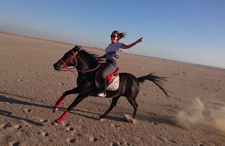 Pferde Reiten in Makadi Bay: Reiten am Strand oder in der Wüste