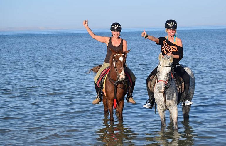 Pferde Reiten in Makadi Bay: Reiten am Strand oder in der Wüste
