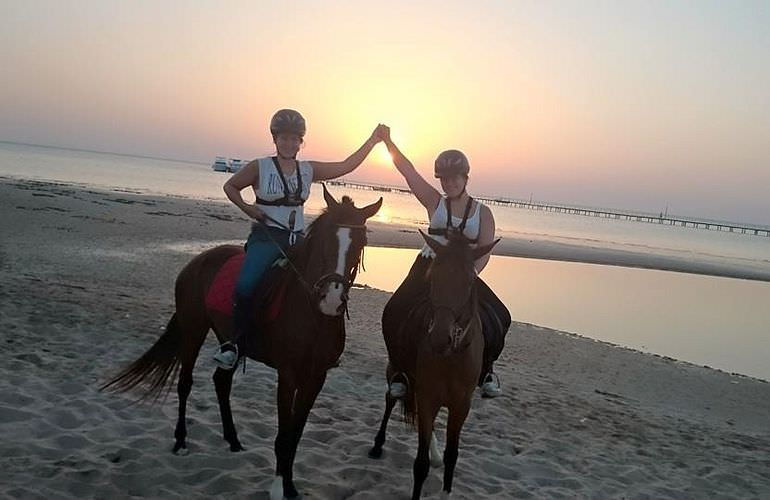 Pferde Reiten in El Gouna : Reiten am Strand oder in der Wüste