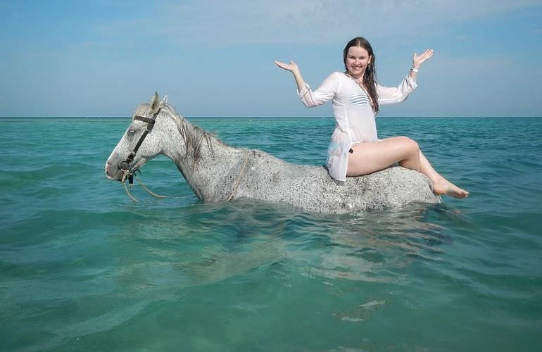 Pferde Reiten in Makadi Bay: Reiten am Strand oder in der Wüste