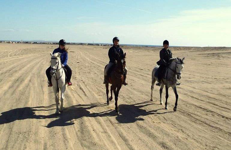 Pferde Reiten in Makadi Bay: Reiten am Strand oder in der Wüste