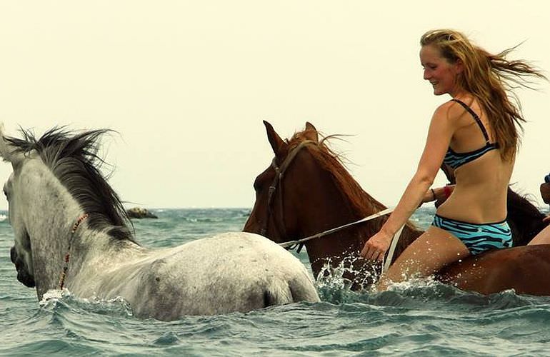 Pferde Reiten in Makadi Bay: Reiten am Strand oder in der Wüste