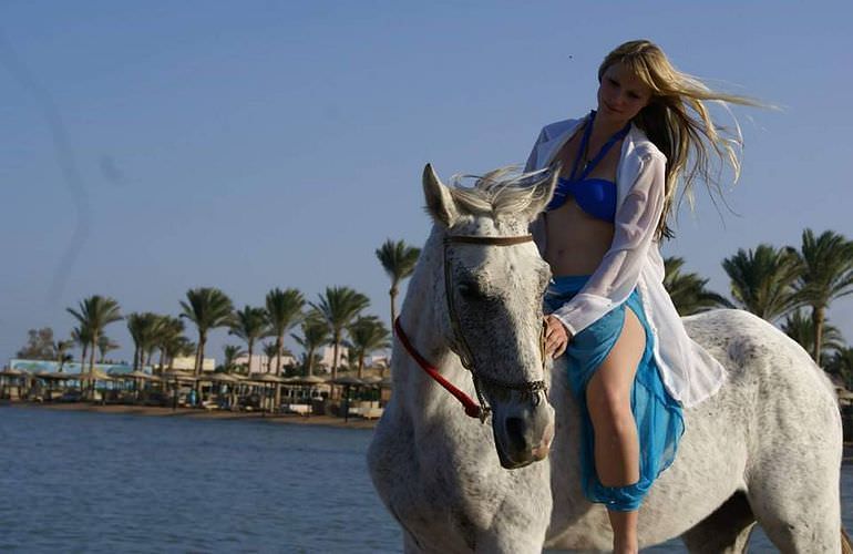 Pferde Reiten in Makadi Bay: Reiten am Strand oder in der Wüste