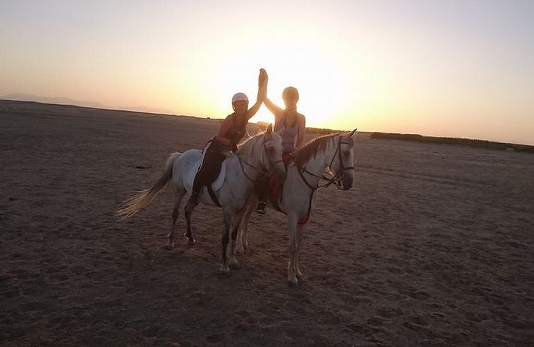 Pferde Reiten in Makadi Bay: Reiten am Strand oder in der Wüste