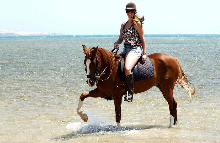 Pferde Reiten in Makadi Bay: Reiten am Strand oder in der Wüste