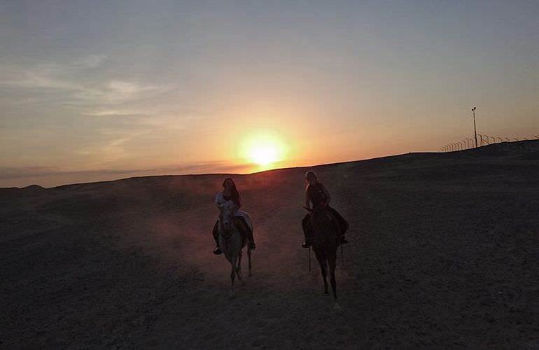 Pferde Reiten in Makadi Bay: Reiten am Strand oder in der Wüste