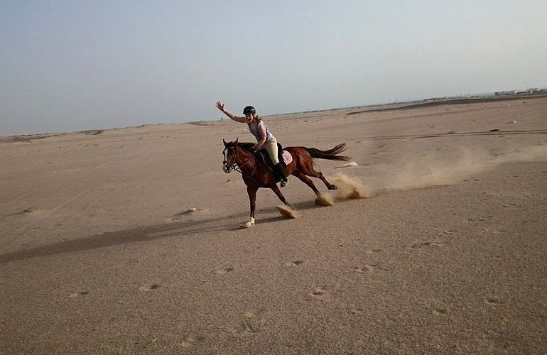 Pferde Reiten in Makadi Bay: Reiten am Strand oder in der Wüste