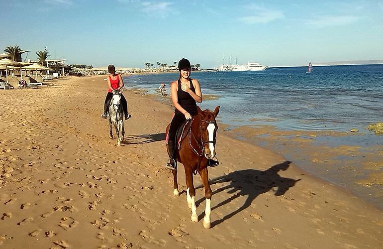 Pferde Reiten in Makadi Bay: Reiten am Strand oder in der Wüste