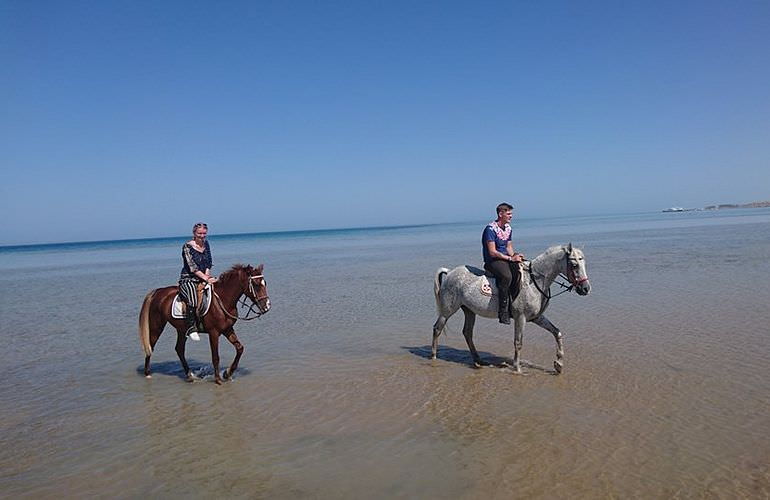 Pferde Reiten in Makadi Bay: Reiten am Strand oder in der Wüste