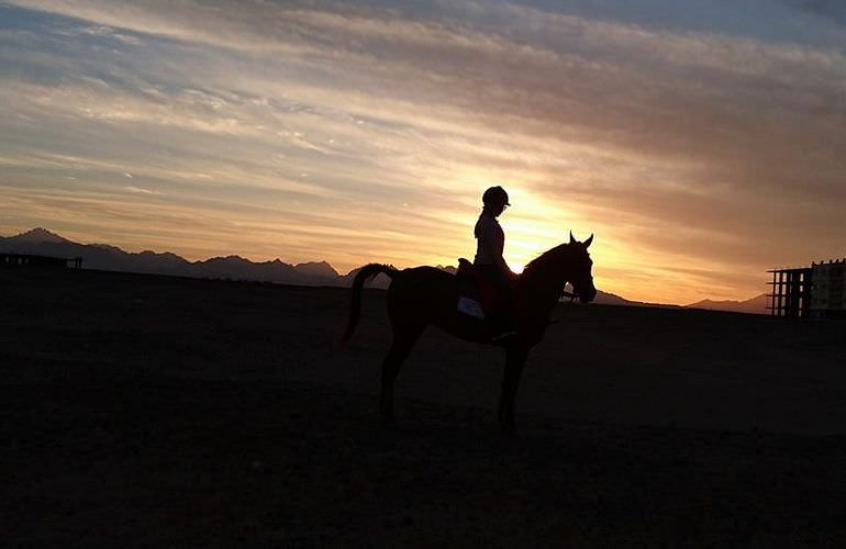 Pferde Reiten in Makadi Bay: Reiten am Strand oder in der Wüste