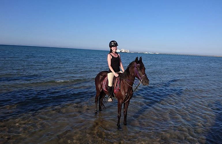 Pferde Reiten in Makadi Bay: Reiten am Strand oder in der Wüste