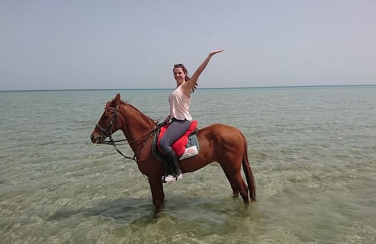 Pferde Reiten in Makadi Bay: Reiten am Strand oder in der Wüste