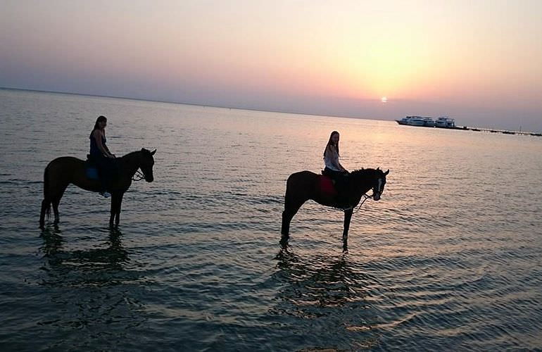 Pferde Reiten in Makadi Bay: Reiten am Strand oder in der Wüste