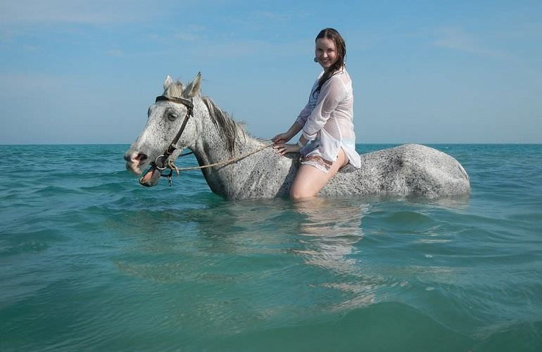 Pferde Reiten in Makadi Bay: Reiten am Strand oder in der Wüste