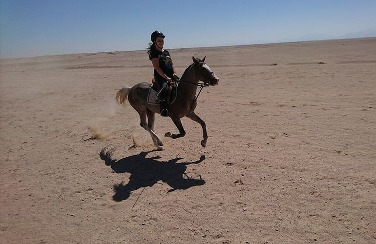 Pferde Reiten in Makadi Bay: Reiten am Strand oder in der Wüste