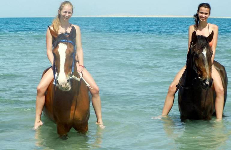 Pferde Reiten in Makadi Bay: Reiten am Strand oder in der Wüste