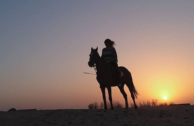 Pferde Reiten in Makadi Bay: Reiten am Strand oder in der Wüste