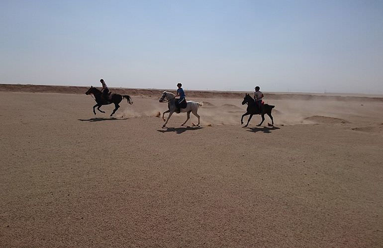 Pferde Reiten in Makadi Bay: Reiten am Strand oder in der Wüste