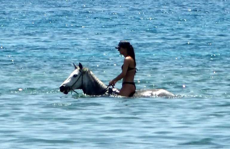 Pferde Reiten in Makadi Bay: Reiten am Strand oder in der Wüste