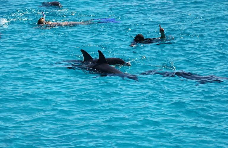 Private Yachten chartern mit Insel-Ausflug von Makadi Bay aus