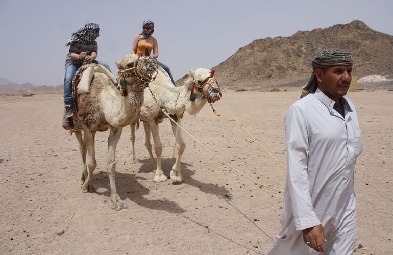 Quad Abenteuer in Makadi Bay: Private Tour durch die Wüste mit Abendessen