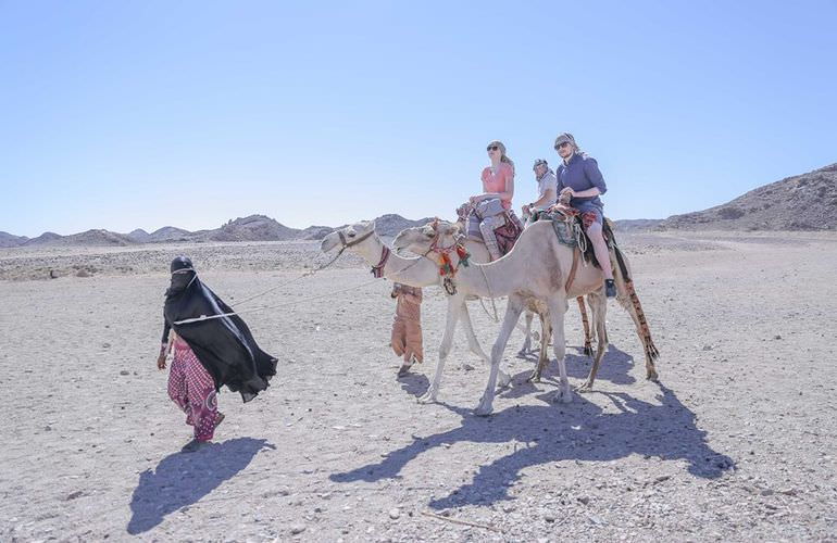 Quad Abenteuer in Makadi Bay: Private Tour durch die Wüste mit Abendessen