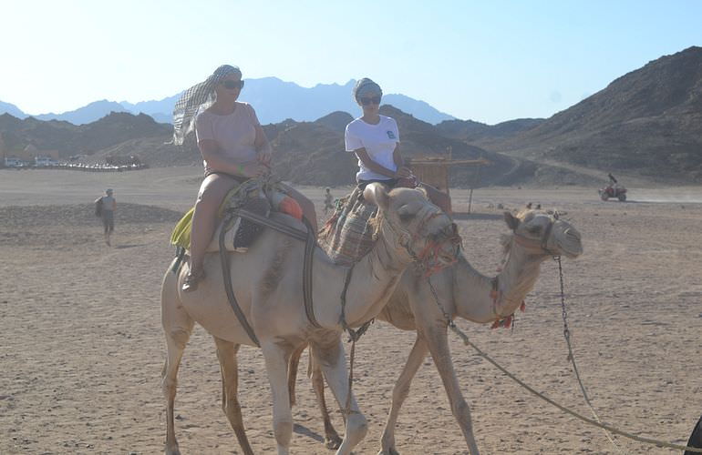 Quad Fahren Makadi Bay: Privat, sportlich oder langsam - Abenteuer Wüste wie Sie es wünschen