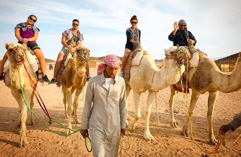 Quad Fahren Makadi Bay: Privat, sportlich oder langsam - Abenteuer Wüste wie Sie es wünschen