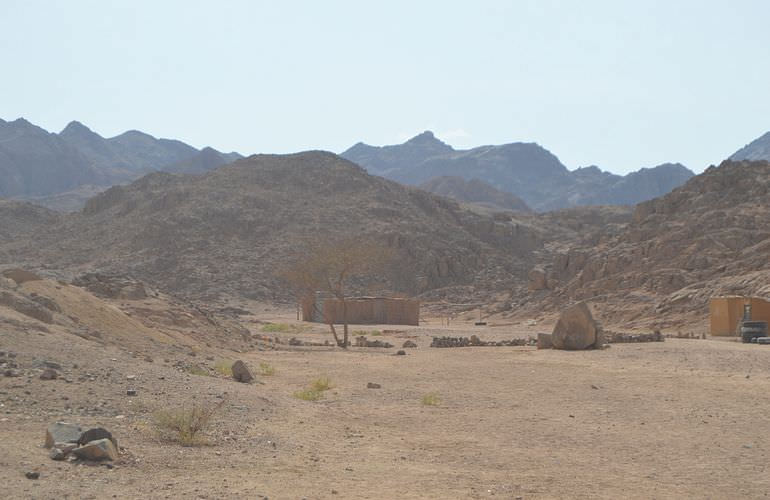 Quad Safari am Morgen durch die Wüste von Sahl Hasheesh mit Kamelreiten