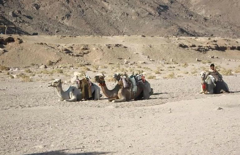 Quad-Tour am Nachmittag durch die Wüste von Makadi Bay